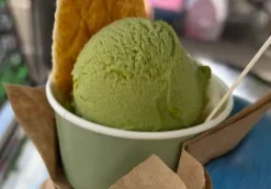 Closeup of Matcha Gelato's Signature Matcha Flavor with Waffle Cone Piece